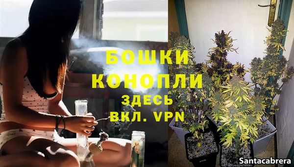 СК Горняк