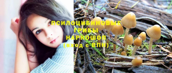 СК Горняк