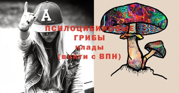 СК Горняк