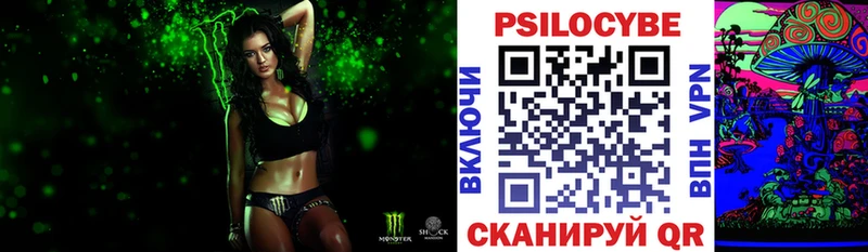 Псилоцибиновые грибы Psilocybe Купить где Красноперекопск